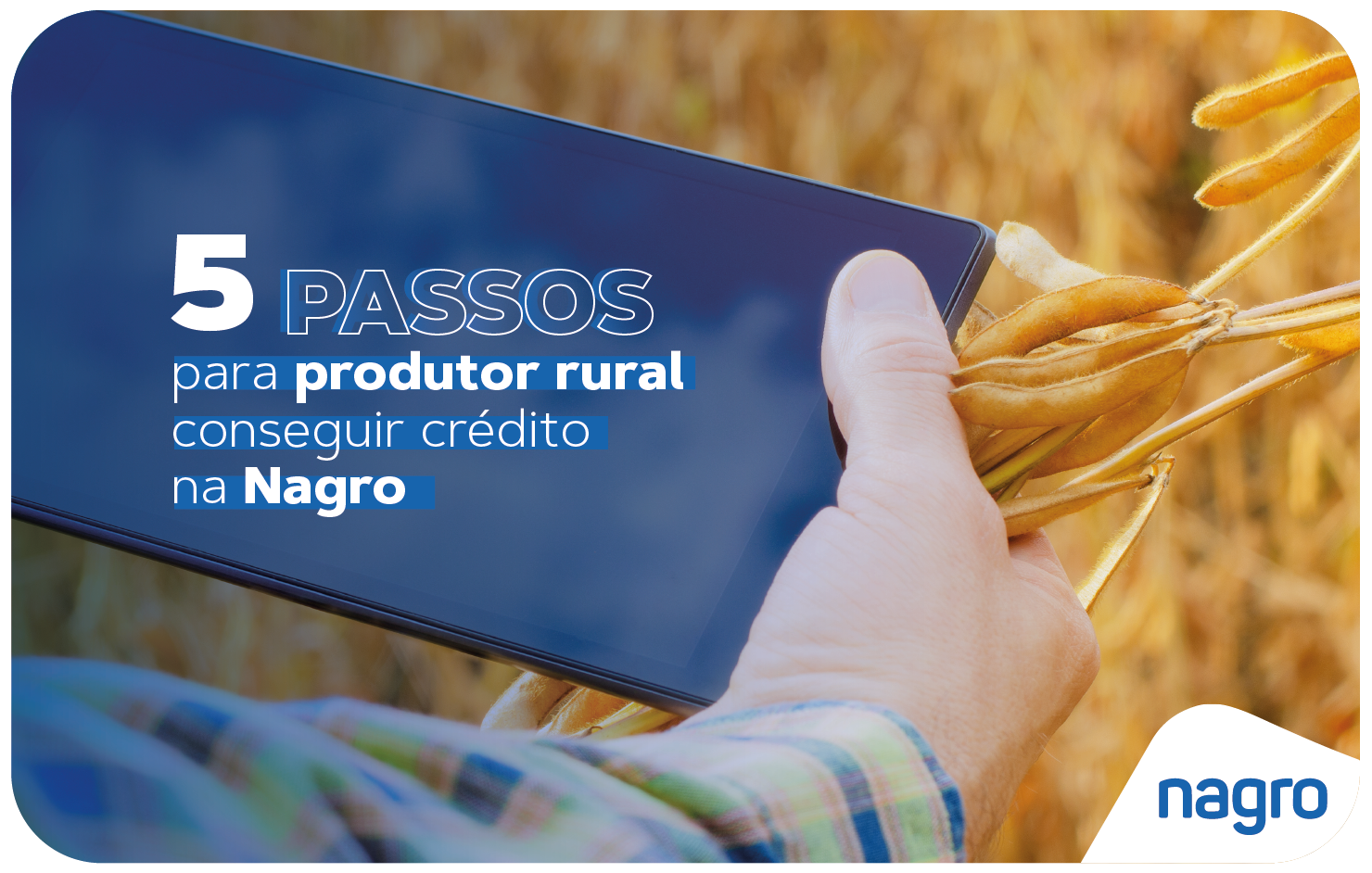 Crédito para pequeno produtor rural, o que é e como conseguir? - Nagro