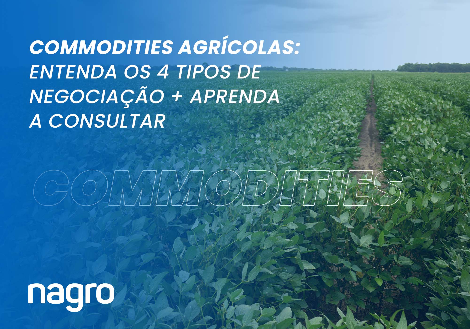 Commodities agrícolas: entenda os 4 tipos de negociação + veja como consultar