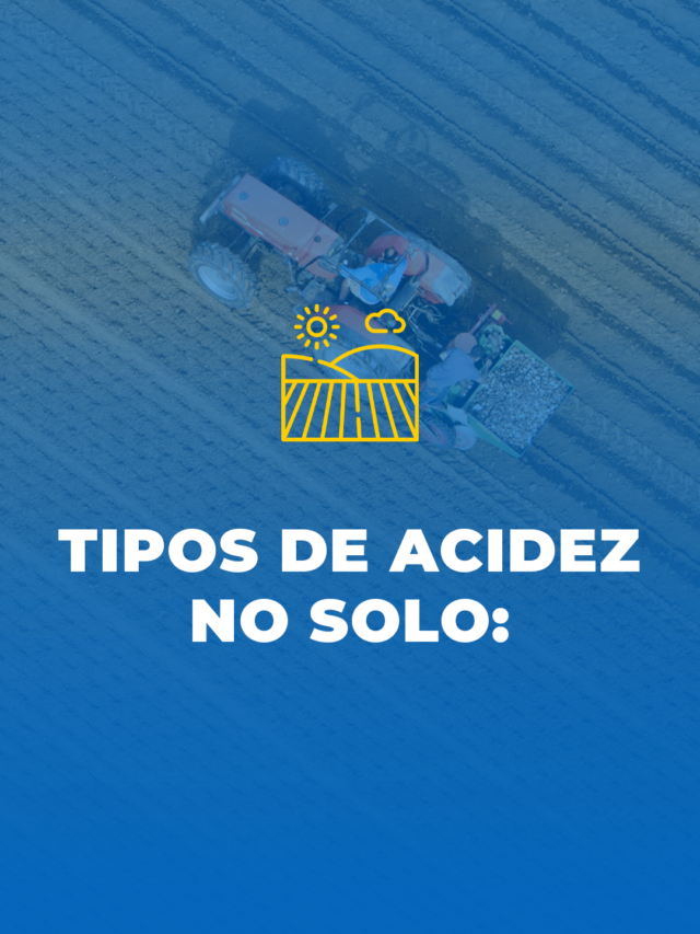 Tipos de acidez no solo: