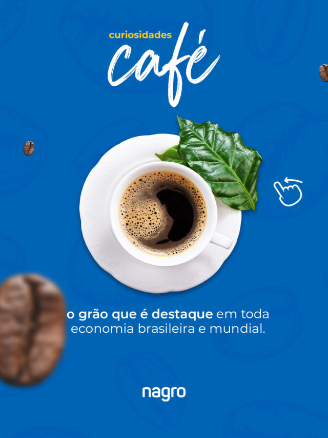 Café: o grão destaque na economia brasileire e mundial.