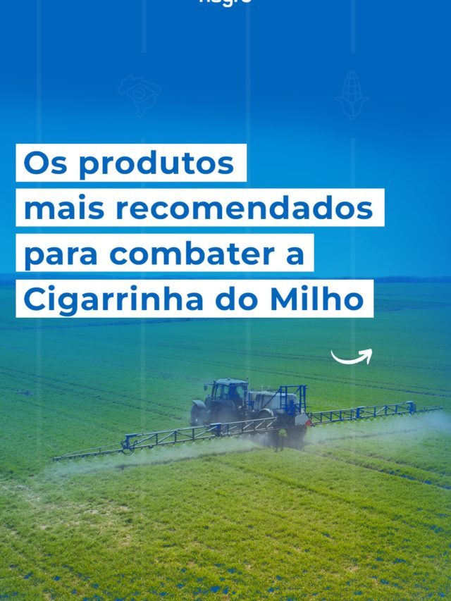 Os produtos mais recomendados para combater a cigarrinha do milho